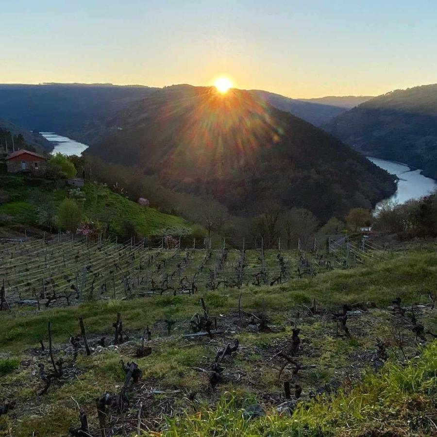 Casa Das Xacias Ribeira Sacra A Airoa  المظهر الخارجي الصورة